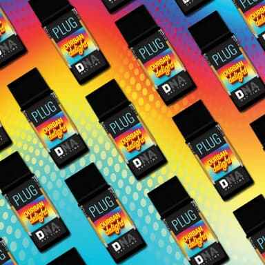 Durban Delight - 1G - DNA image 1