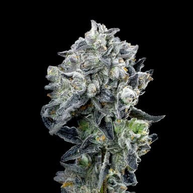 Umami Butter - 1G - Cart image 13